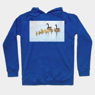 Family Afloat Canada Geese & Goslings No.1 Hoodie